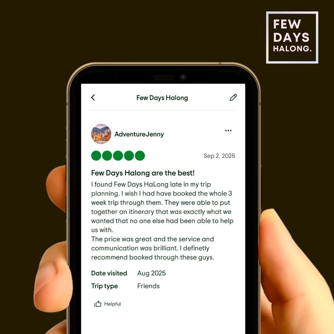 Guest review