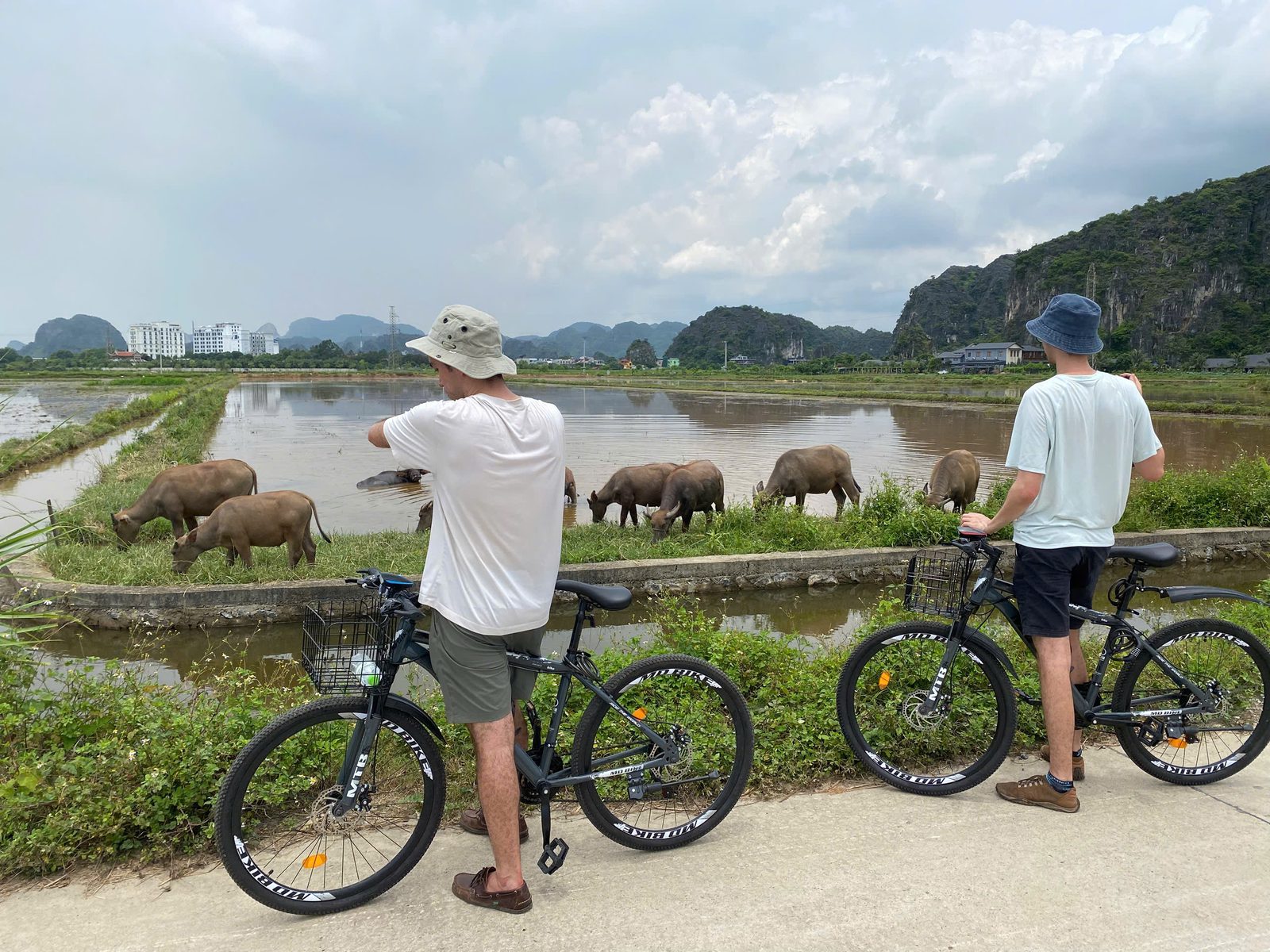 Ninh Binh sunset cycling tour