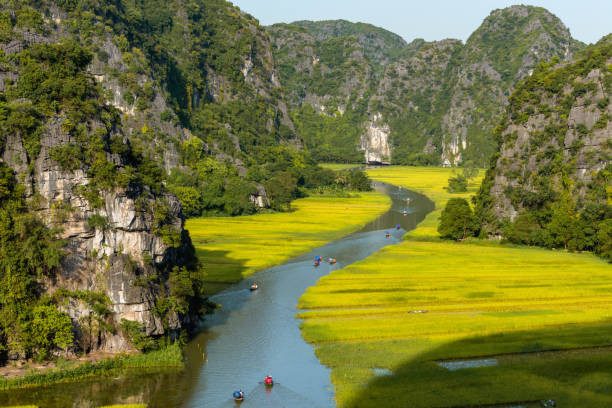 Ninh Binh heritage tour — temples and limestone scenery