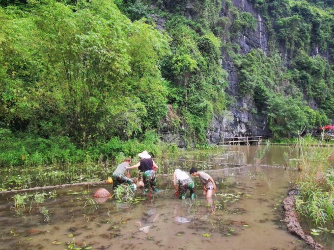 Ninh Binh scenic tour — limestone karsts and waterways