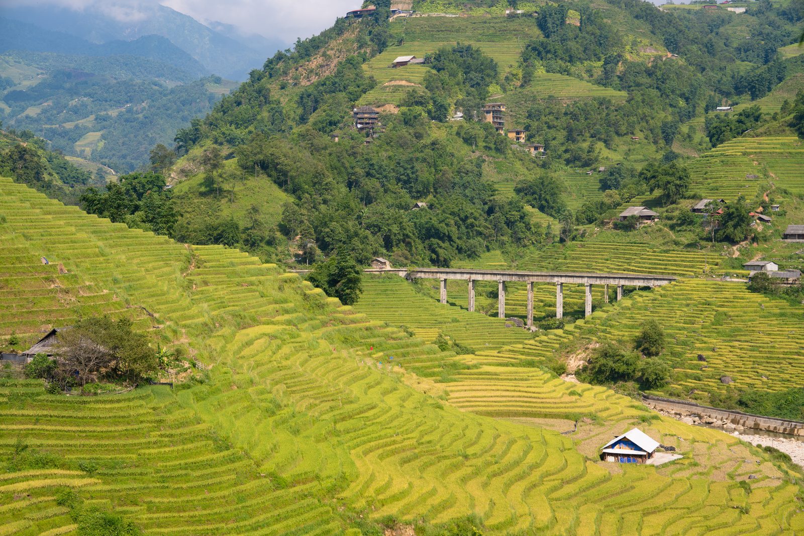 Muong Hoa Valley trek