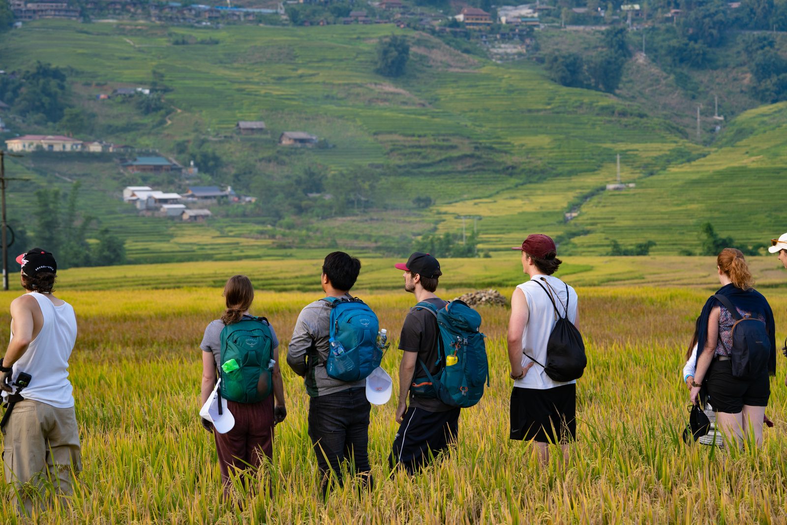 Muong Hoa Valley trek