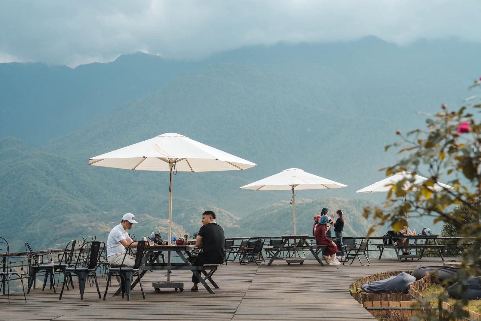 Moana Viewpoint & Mật Pet Farm